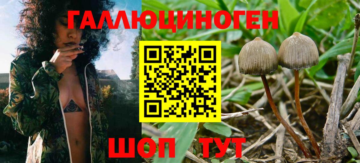 Галлюциногенные грибы ЛСД Алушта
