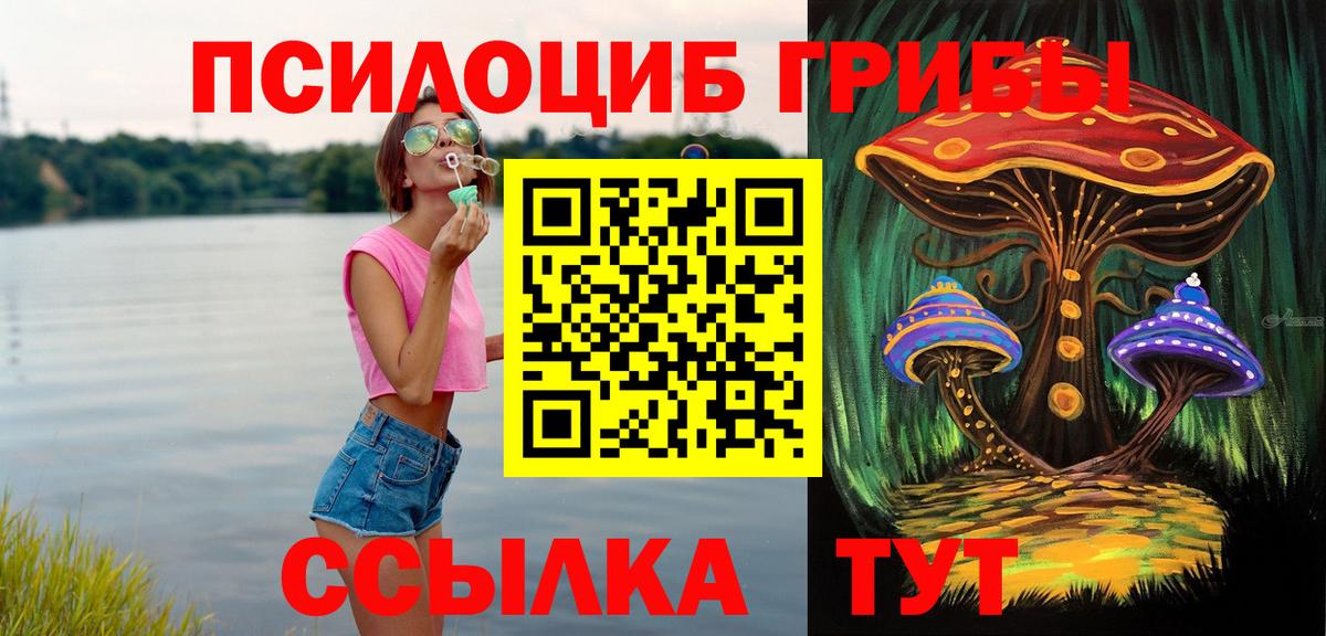 Галлюциногенные грибы Psilocybe  Вход с VPN  Алушта 